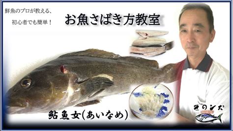 愛魚|アイナメ【鮎魚女、鮎並】｜釣り百